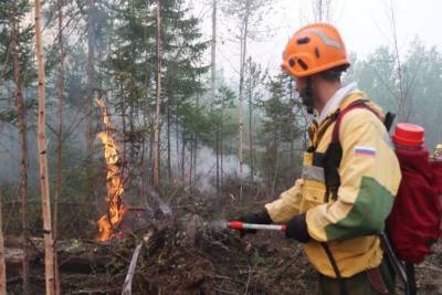 Костромские пожарные сейчас борются с огнем в Мантуровском и Нерехтском районах