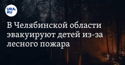 В Челябинской области эвакуируют детей из-за лесного пожара