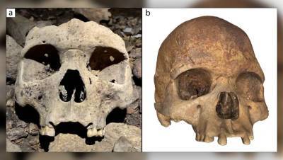 Археологи нашли в Габоне черепа беззубых африканцев