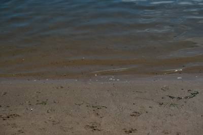 На реке Корневой Астраханской области утонул десятилетний мальчик