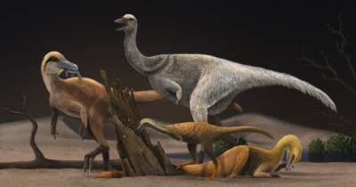 Размером с курицу: ученые рассказали, почему альваресзавры уменьшились в размерах