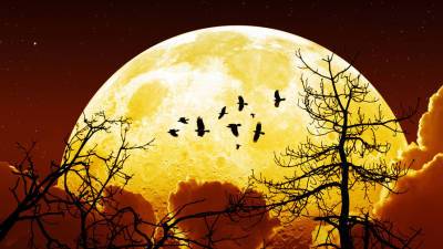 Ученый предсказал появление «второй Луны» на земном небе