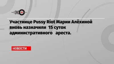 Участнице Pussy Riot Марии Алёхиной вновь назначили 15 суток административного ареста.
