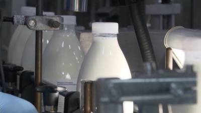 Новости на "России 24". Правительство взяло под контроль цены на молоко и молочные продукты