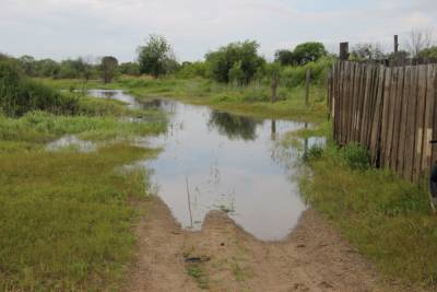 Уровень воды в Амуре у Хабаровска превысил неблагоприятное значение