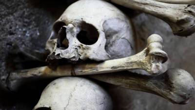 В Габоне найдены древние черепа без удаленных намеренно зубов