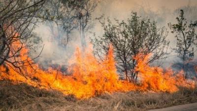 Крупный лесной пожар бушует в Челябинской области