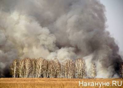 Четыре населенных пункта в Челябинской области находятся под угрозой из-за лесных пожаров