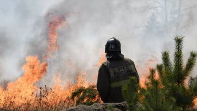 В Челябинской области сообщили об угрозе населённым пунктам из-за пожаров