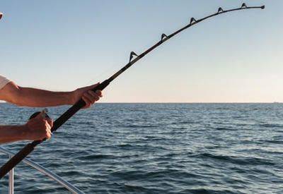 Курьез: американец во время рыбалки поймал огромную золотую рыбу. ФОТО