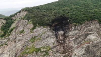 Спасатели добрались до скалы, с которой столкнулся самолет Ан-26 на Камчатке