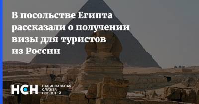 В посольстве Египта рассказали о получении визы для туристов из России
