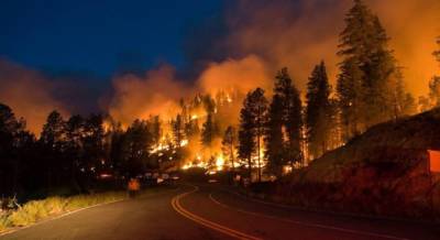 В России масштабный лесной пожар охватил более 900 га леса