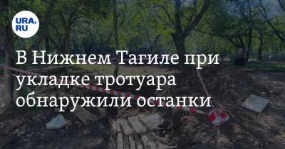 В Нижнем Тагиле при укладке тротуара обнаружили останки. Они могут принадлежать роду Демидовых. Фото