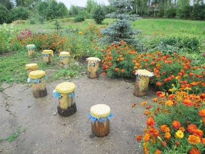 Кунгурских ветеранов приглашают принять участие в конкурсе садоводов