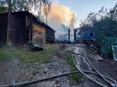 На Южном Урале на пожаре погиб пенсионер