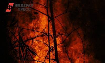 Тюменские пожарные борются с 15 возгораниями в лесах