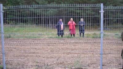 Литва начала строить забор на границе с Белоруссией