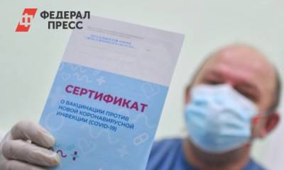В Петербурге и СЗФО растет спрос на поддельные ковид-паспорта: почему люди готовы рисковать
