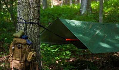 Подростки устроили стрельбу в палаточном лагере Новосибирска
