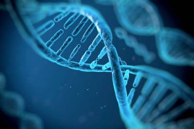 Генетика человека может стать причиной тяжелой формы COVID-19