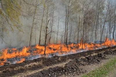 Жителей южноуральского поселка эвакуируют из-за лесного пожара
