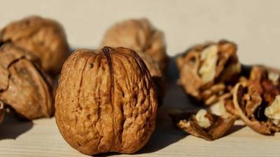 Российские ученые вывели два новых сорта грецкого ореха