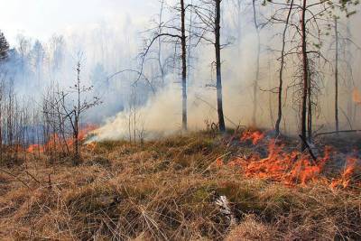 В Костромской области оперативно ликвидирован один лесной пожар и локализован другой