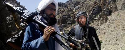 В «Талибане» заверили, что не стремятся к узурпации власти в Афганистане