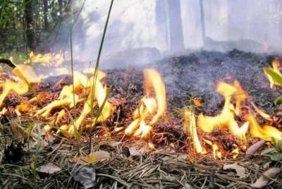 МЧС предупреждает ульяновцев о чрезвычайной пожарной опасности