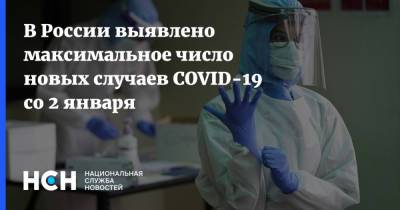 В России выявлено максимальное число новых случаев COVID-19 со 2 января