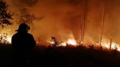 В Челябинской области лесной пожар перекинулся на территорию одного из поселков