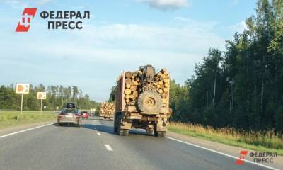 Таджикистан будет закупать древесину в Югре