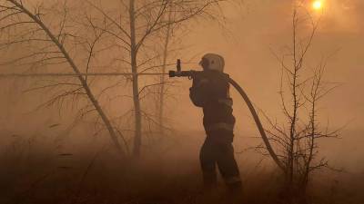Режим ЧС из-за лесных пожаров ввели в Челябинской области