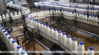 Производство молока в Брестской области за I полугодие выросло на 2,8%