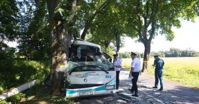 «Водитель задумался и отвлёкся»: глава региональной ГИБДД — об аварии с автобусом под Янтарным