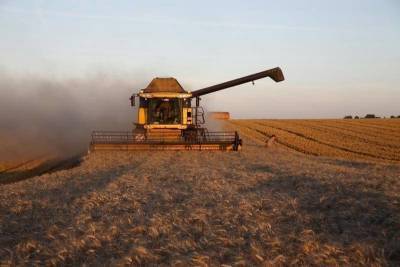 Пошлина на экспорт пшеницы будет снижена с 14 июля
