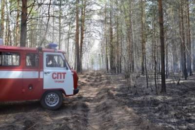 В Челябинской области завели три уголовных дела из-за лесных пожаров