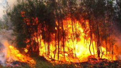 Лесной пожар добрался до жилых домов в Челябинской области