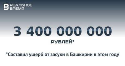 Ущерб АПК Башкирии от засухи оценивается в 3,4 млрд рублей — это много или мало? - realnoevremya.ru - Башкирия
