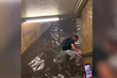Люди выплывают из подземки: в Нью-Йорке затопило метро