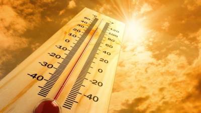Новые рекорды: жара в Петербурге и Москве выйдет на пик в выходные
