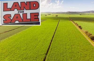 Нотариусам советуют откладывать сделки купли-продажи земли