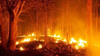 «Уходи, уходи, Леха!» — пожар в Челябинской области охватил тысячи гектаров