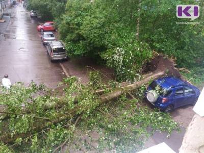 В центре Сыктывкара во время ливня с ветром упал тополь и затопило центральные улицы