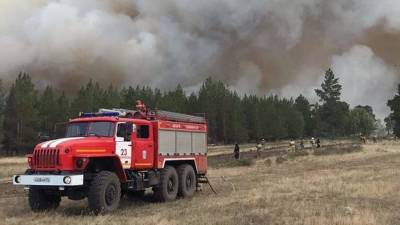 В Челябинской области возбудили три уголовных дела по факту лесных пожаров