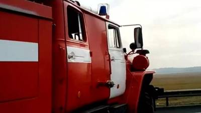 Площадь лесных пожаров в Челябинской области возросла до 4,8 тысячи га