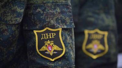 Недельный брифинг официального представителя Народной милиции ДНР