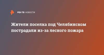 Жители поселка под Челябинском пострадали из-за лесного пожара