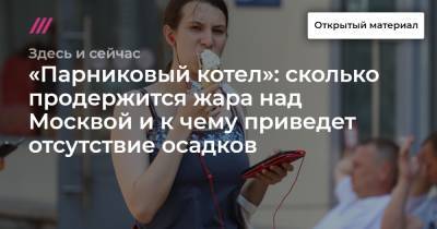 Андрей Никеричев - «Парниковый котел»: сколько продержится жара над Москвой и к чему приведет отсутствие осадков - tvrain.ru - Москва